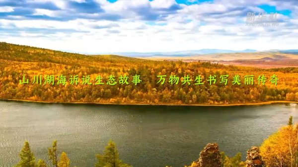 论坛股票配资 青山作答 绿水回响